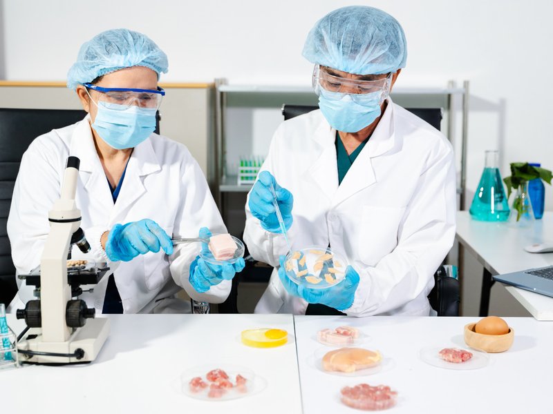 Inocuidad: análisis de muestras en laboratorio